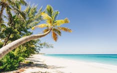 Suiten Special Winter 2023/24 - AIDAmar - Große Feiertagsreise Karibik