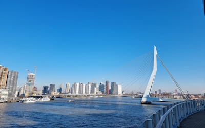 Metropolen ab Rotterdam